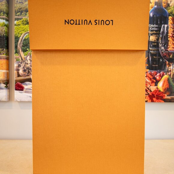 Louis Vuitton BNIB Capucines BB Bag- Santorini Blue exotic leather - Picture 15 of 16